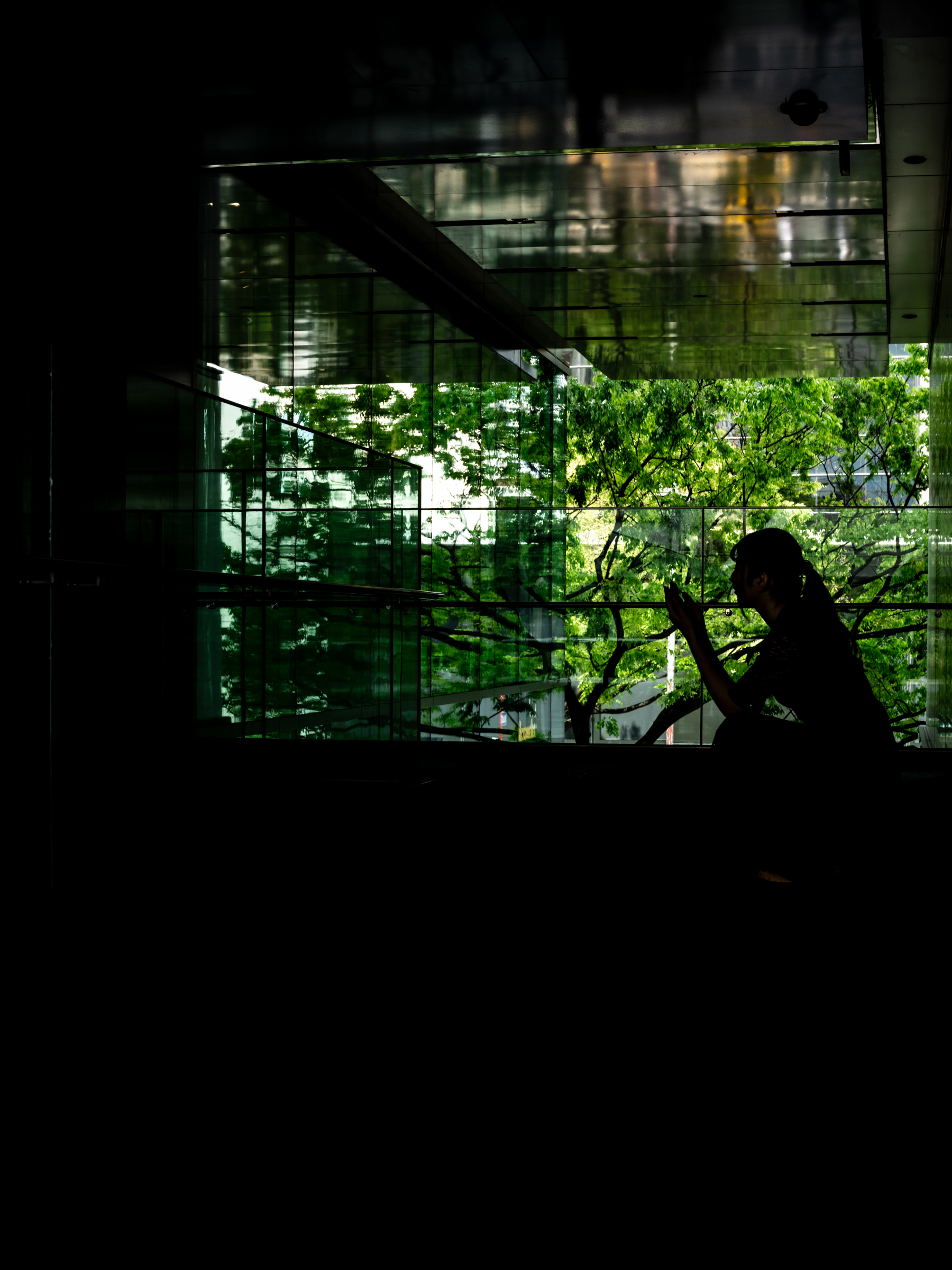 _DSC9323